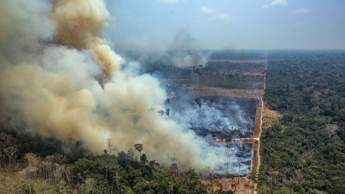 Incendio en Novo Progresso, en el estado de Pará, en el amazonas brasileño.