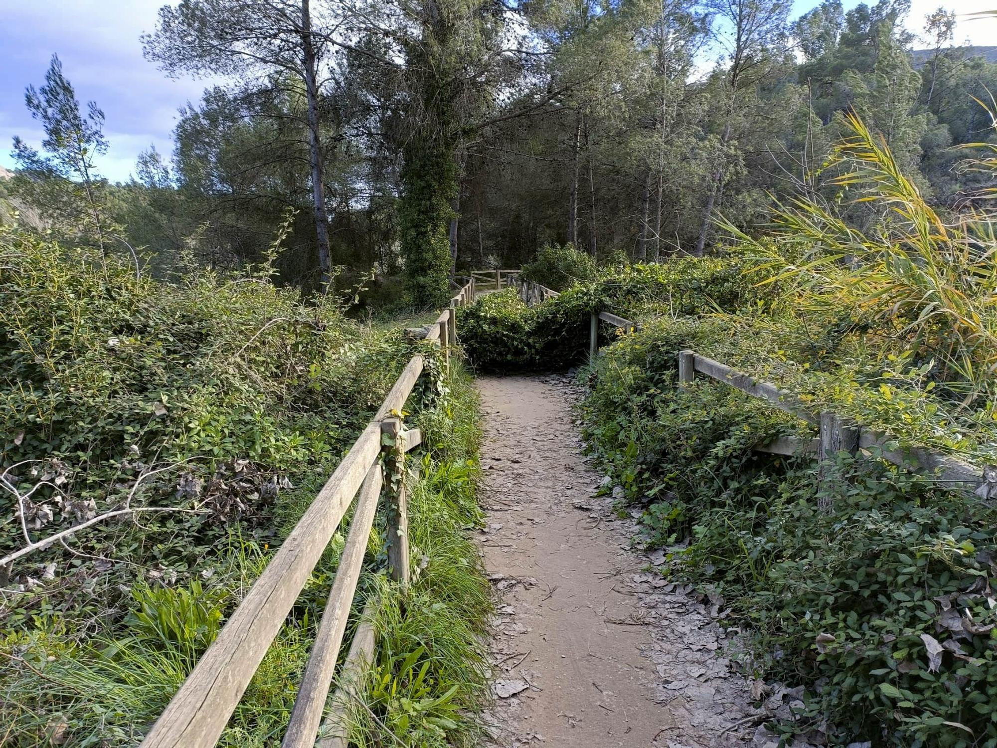 El viento causa varios incidentes en Xàtiva y Ontinyent