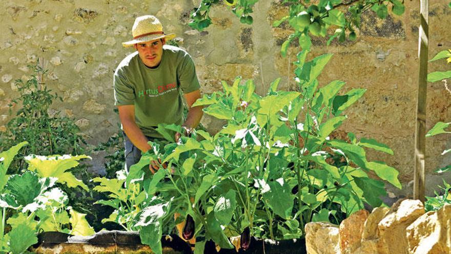 Miquel Rodríguez auf der 16 Quadratmeter großen Terrasse. Hier wird eine ganze Familie mit Gemüse versorgt.