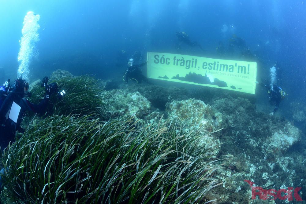 Protesta a les Illes Formigues per la concessió de llicències per pescar corall vermell