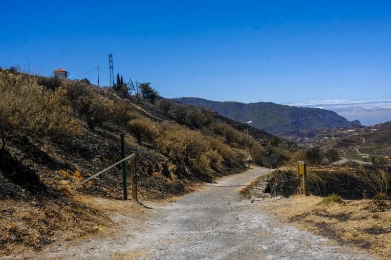 Consecuencias del incendio: De Valleseco a Artenar