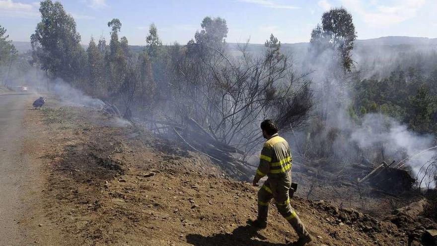 Un agente forestal, durante la extinción del fuego en uno de los incendios de Artoño. // Bernabé/Javier Lalín