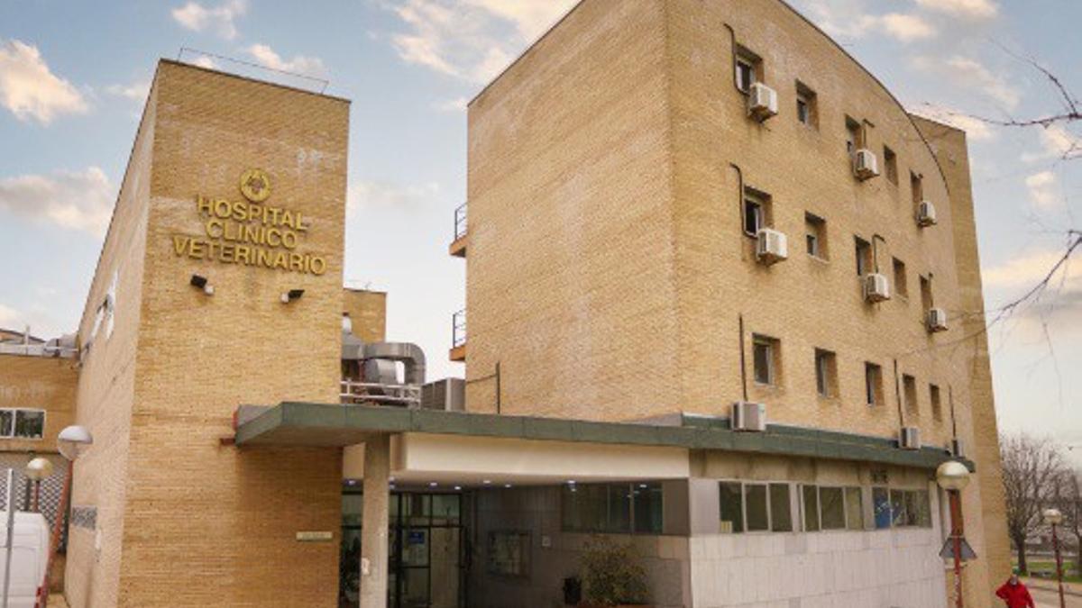 Hospital Veterinario de la Complutense.