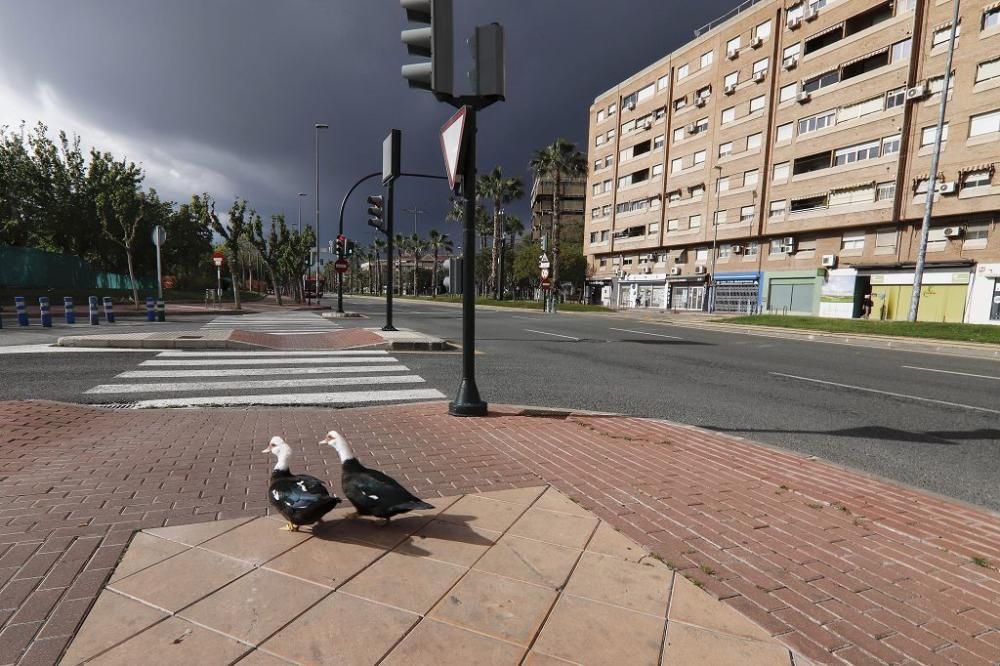 Las nuevas dueñas de la ciudad, 2 de abril