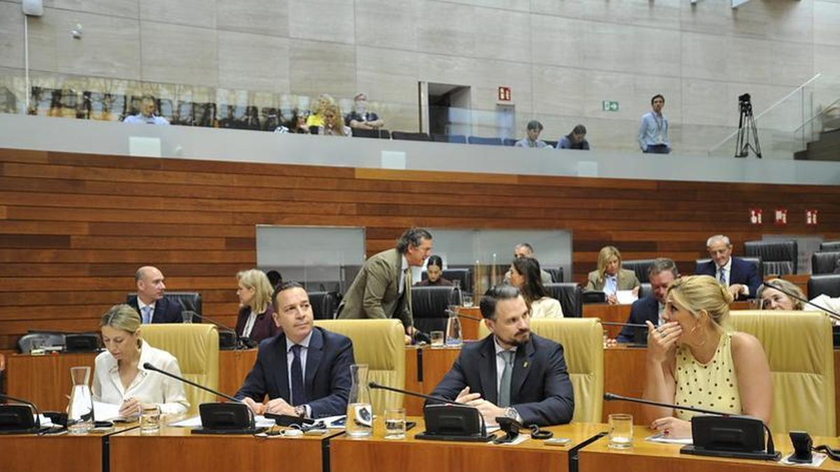 Des las trincheras de la Asamblea al juzgado: David Sánchez, las Keli Finder y el "joyero" del PSOE