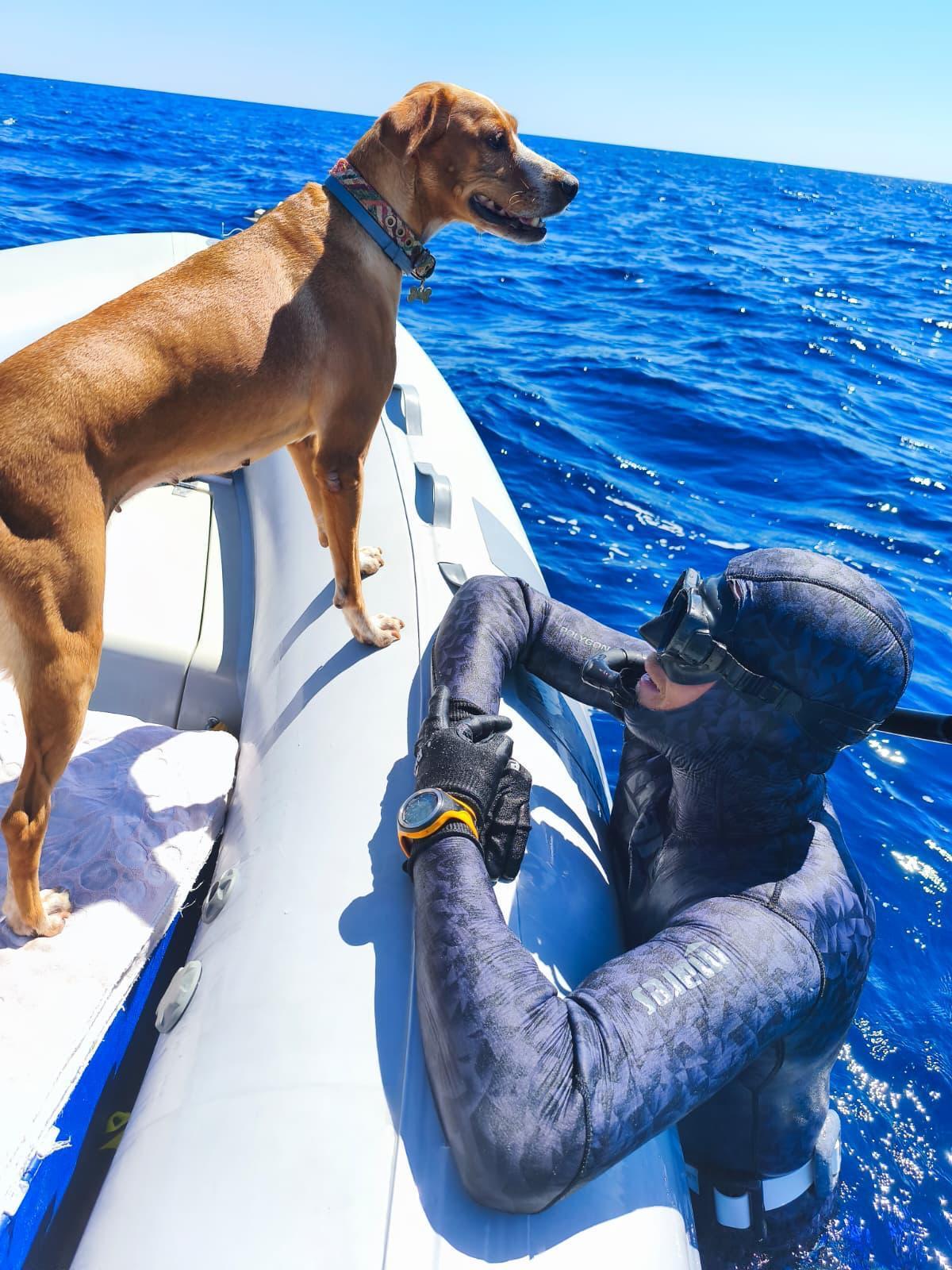 La perra de Juan Vicente Pérez Climent le aguarda en el bote mientras él se sumerge.