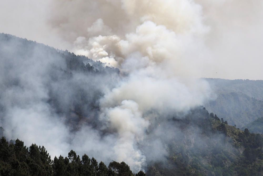 El fuego en la parroquia de Anllo empezó a las 17,50 horas del domingo. La mayoría del terreno quemado es arbolado.
