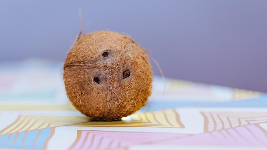El coco, el remei natural per acabar amb les picades de mosquits