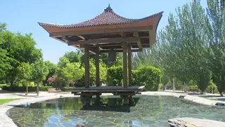 Así es el parque japonés que nadie conoce en Madrid: bonsáis, estanques y hasta un museo secreto en su interior