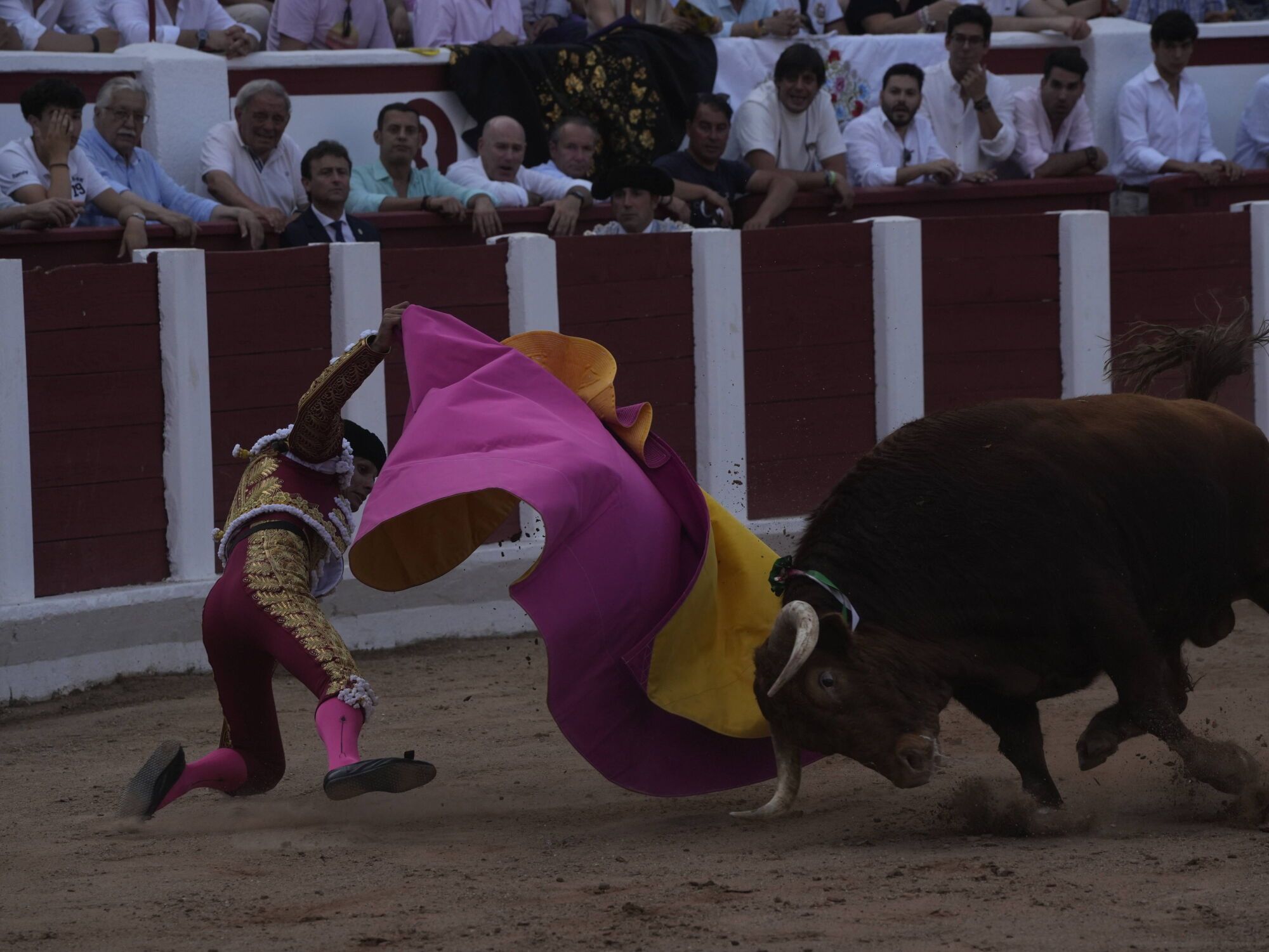 Las mejores imágenes de la feria taurina de San Pedro en Zamora.
