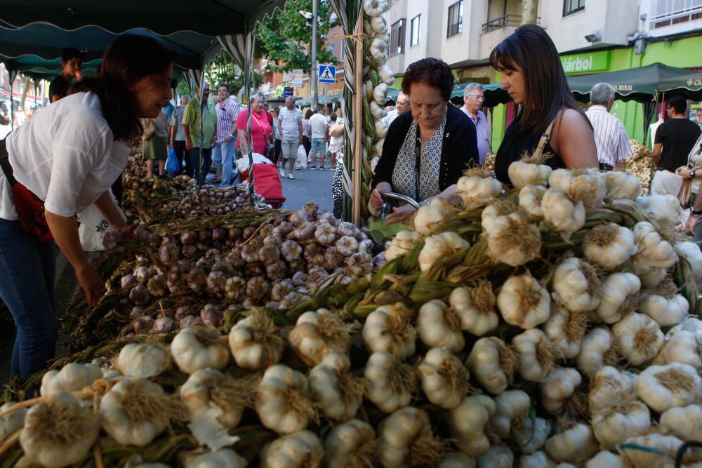 San Pedro 2016: Feria del Ajo