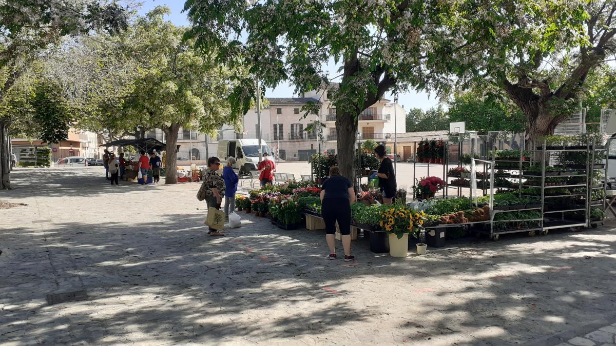 El mercado se ha llevado a cabo en la PlaÃ§a del Fossar.