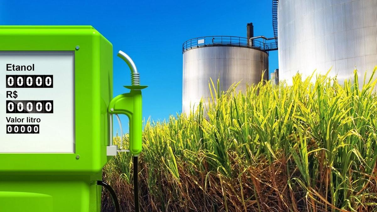 Los biocombustibles sostenibles, otro de los objetivos del proyecto