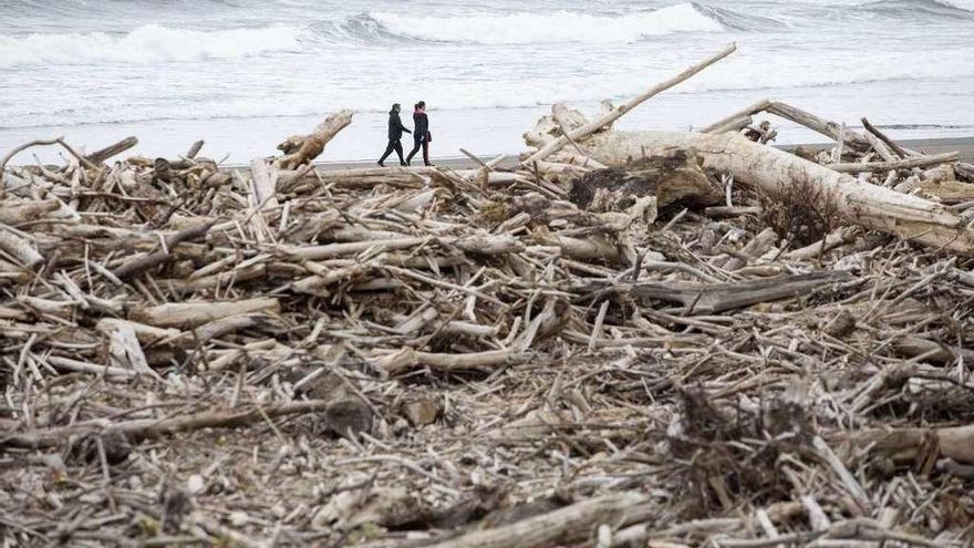 La playa de Los Quebrantos, en San Juan de la Arena, con los troncos depositados por el río Nalón aún sin retirar.