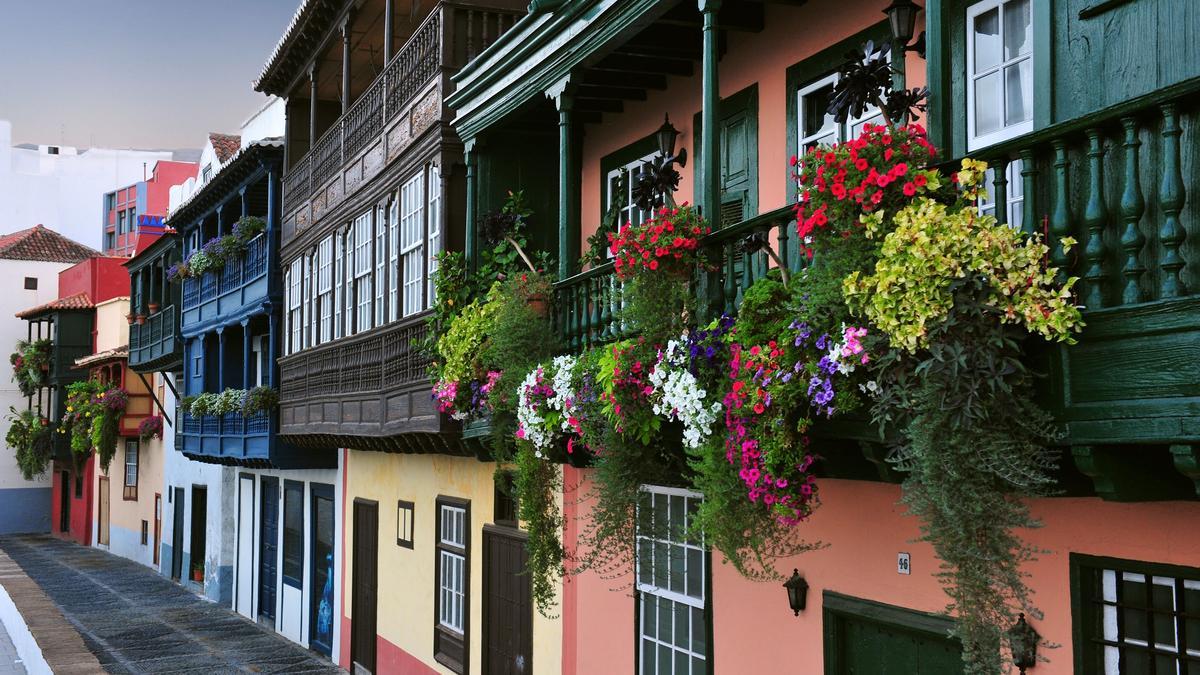 Cuidado con las plantas en los balcones
