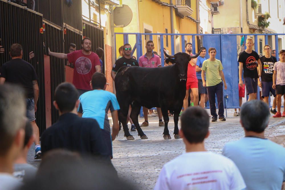 Fiesta de la Vaca de Castalla