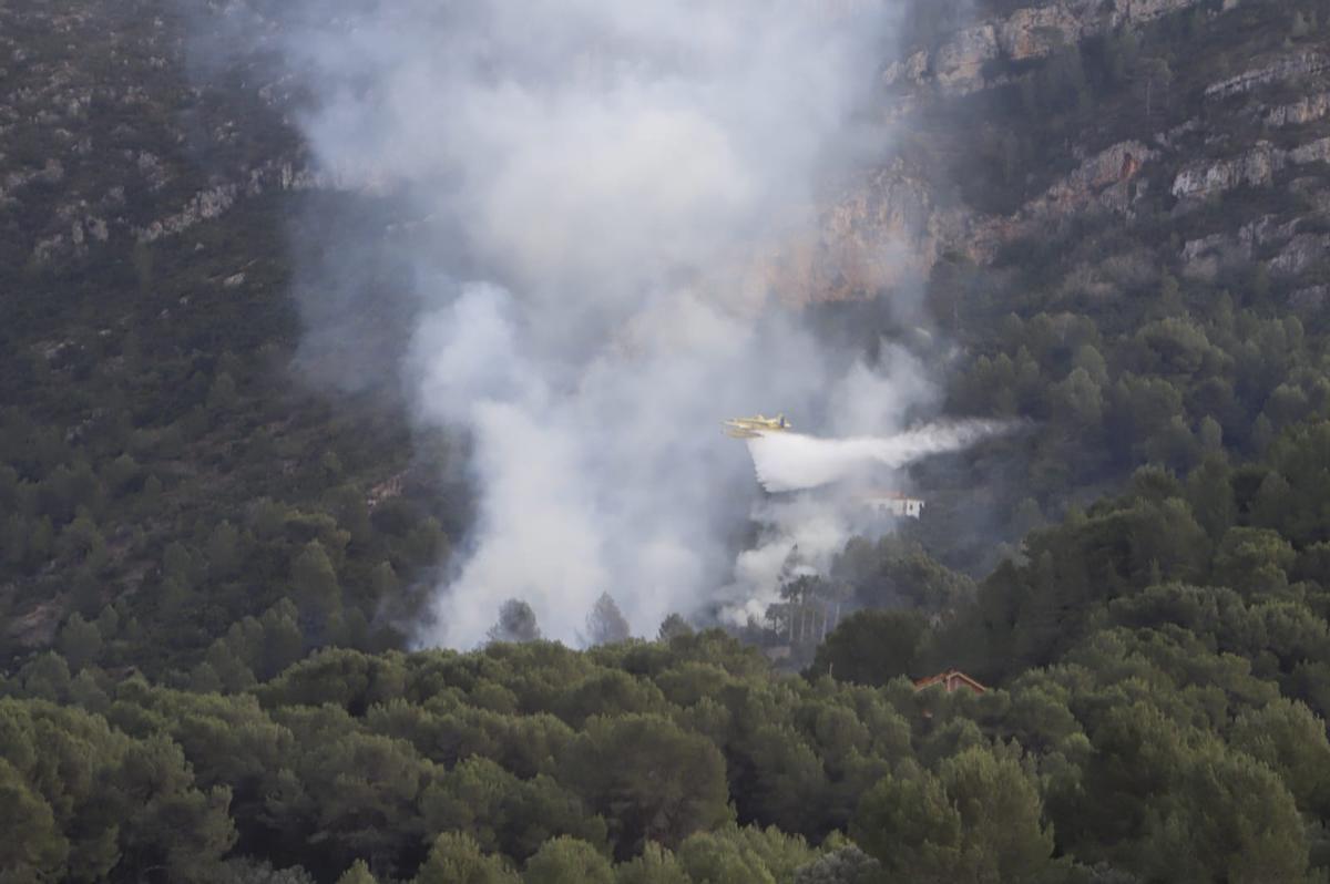 Un incendio forestal en Alzira amenza la Murta y dos centenares de viviendas