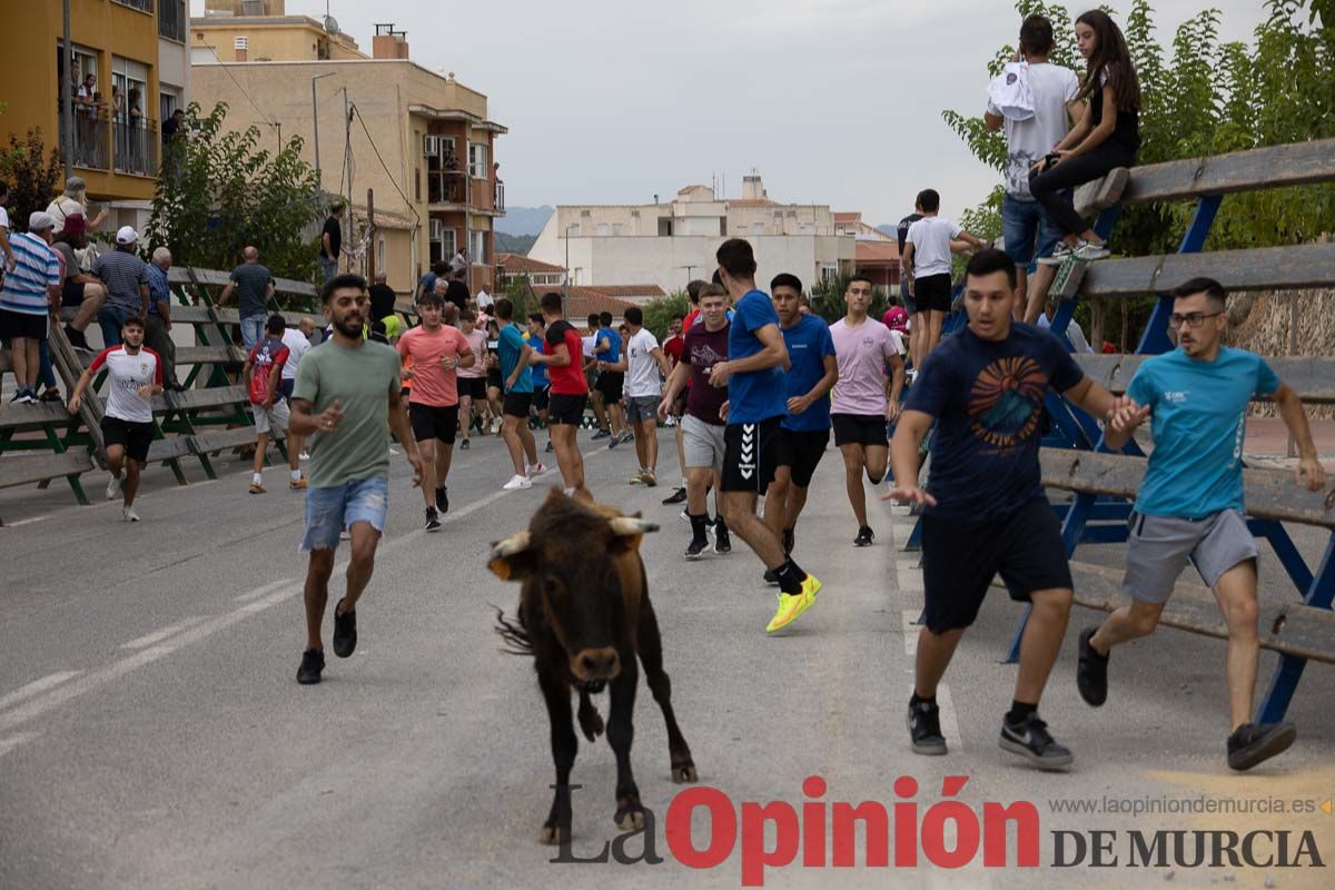 Chupinazo y encierro chico en Calasparra