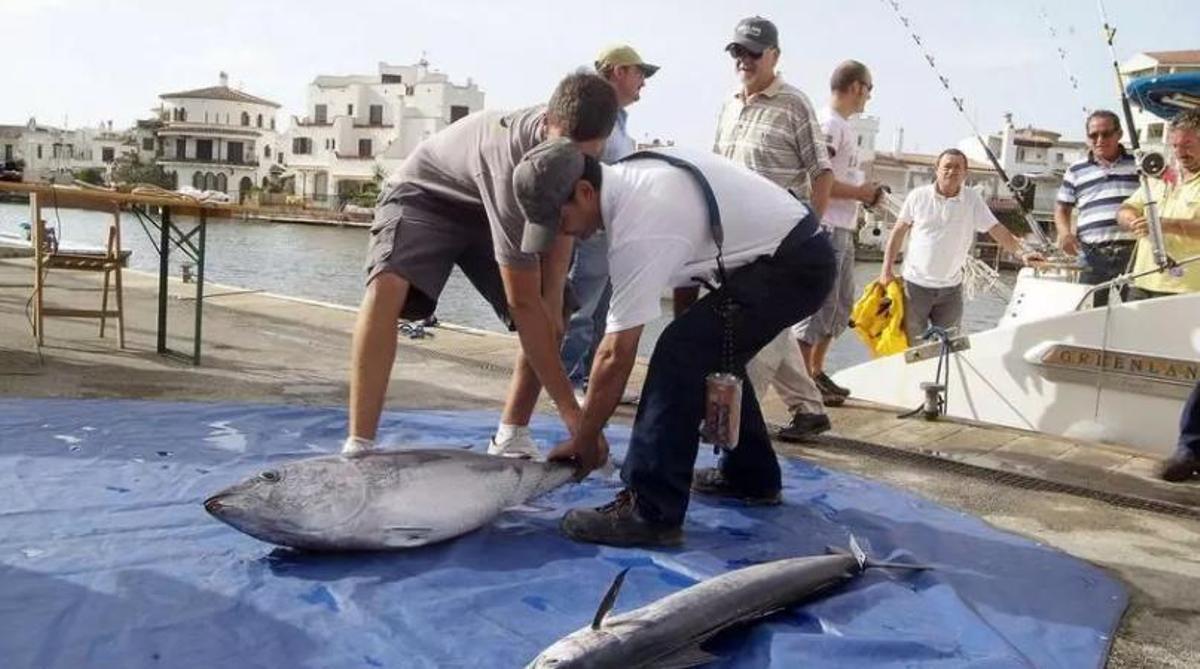 Dos pescadors feinejant, en una imatge d’arxiu.