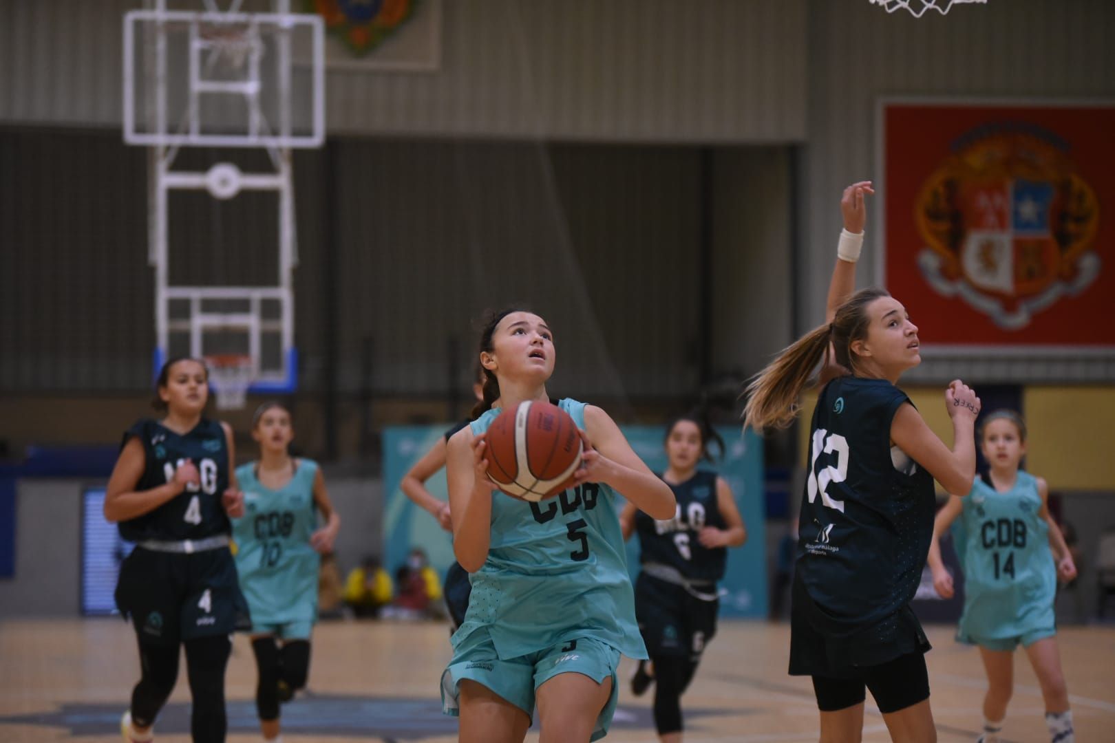 Las imágenes de la selección de Córdoba, campeona de Andalucía de baloncesto