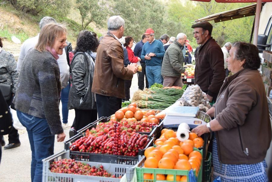 Romería de la Petisqueira