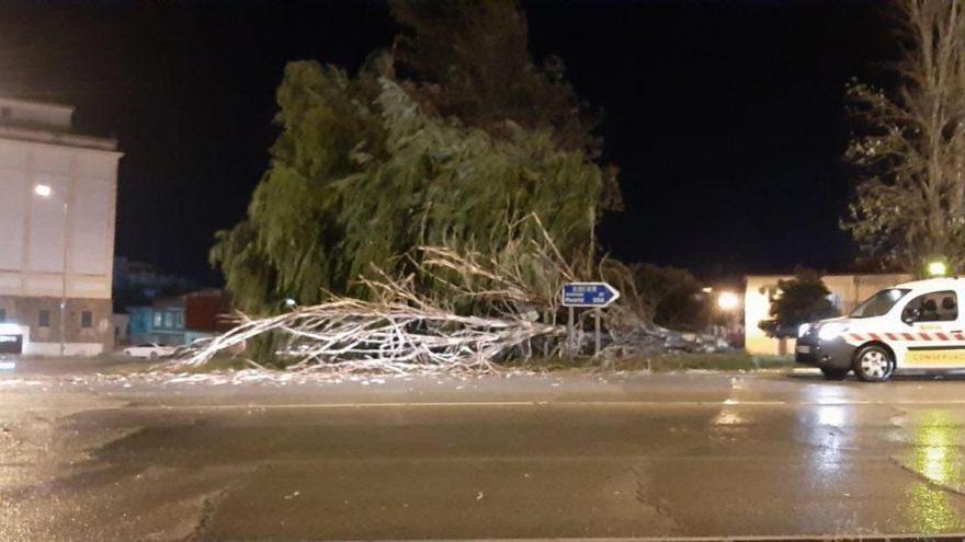 Una fuerte tormenta causa múltiples daños en Trujillo