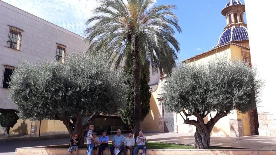 Alaquàs impulsa una ruta botánica