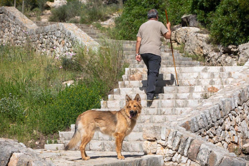 Die Parks in Palma de Mallorca sind wieder geöffnet