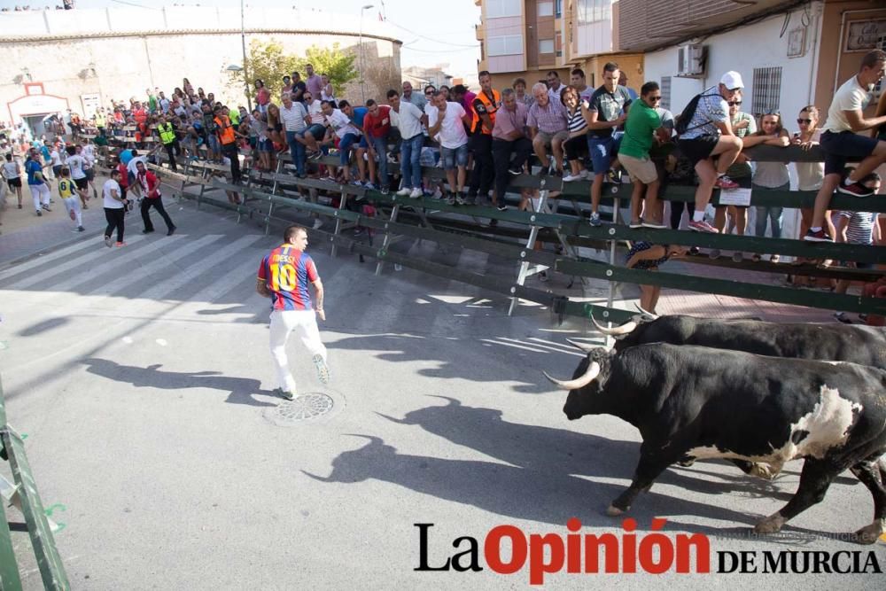 Segundo encierro de Calasparra