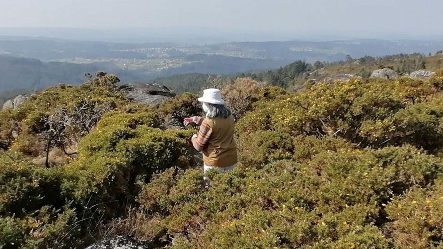 Reúnen más de 1.300 firmas para declarar parque natural el Monte do Gato y blindarlo de los planes eólicos