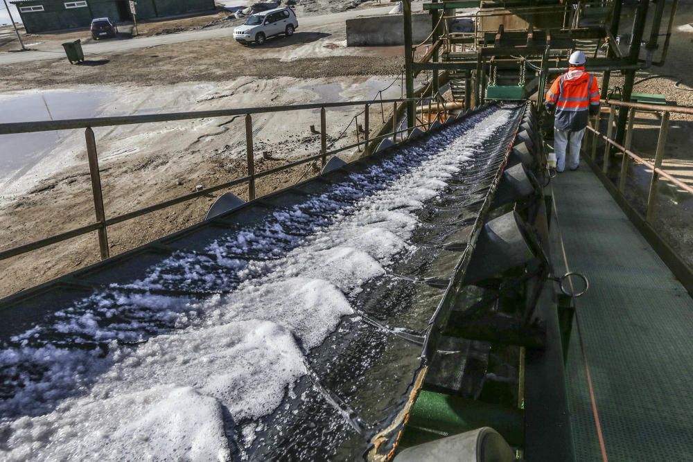 De la laguna de Torrevieja se puede extraer sal durante todo el año haciendo uso de una tecnología minera única