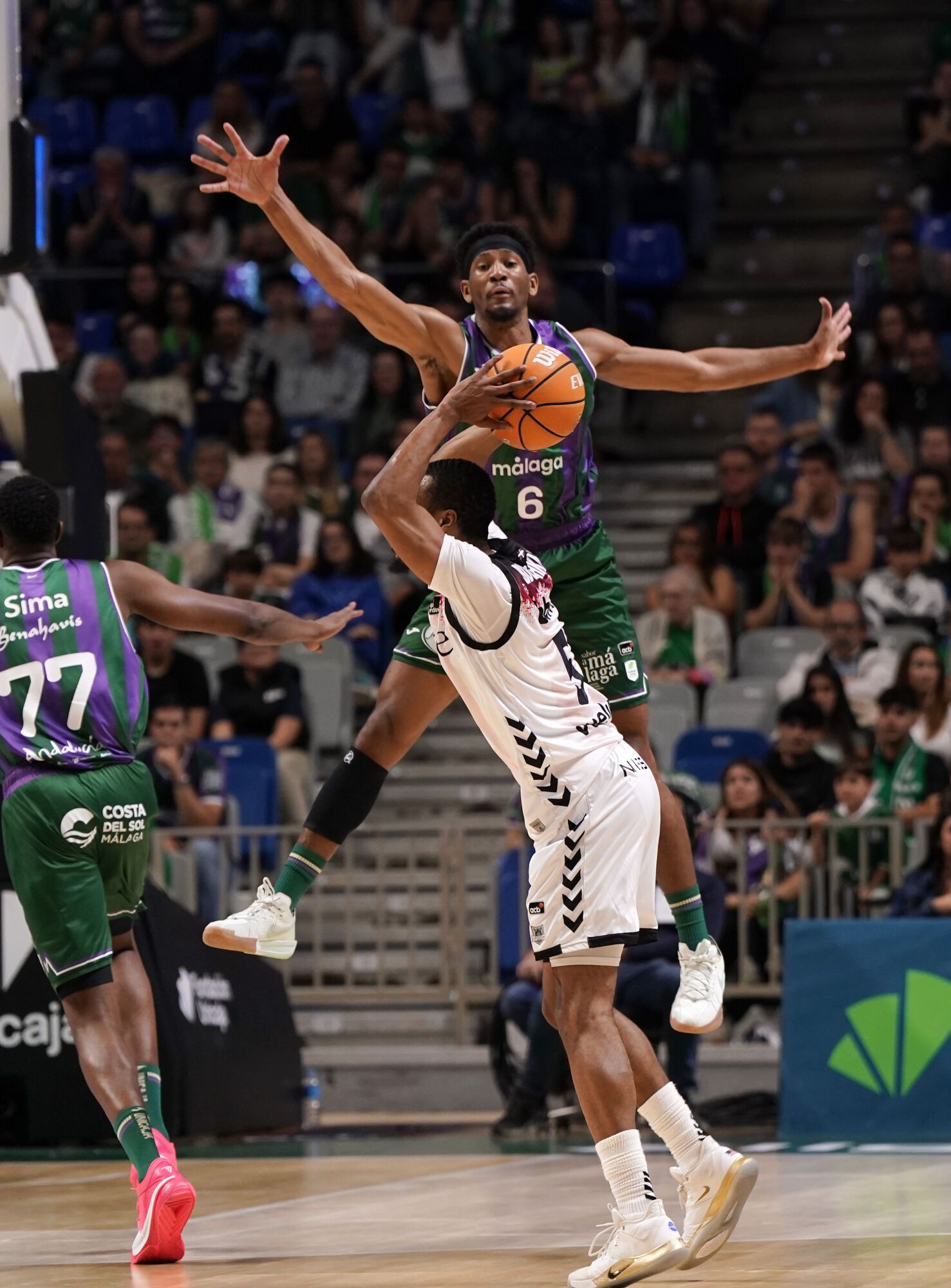 Partido que enfrenta al Unicaja y al Bilbao Basket