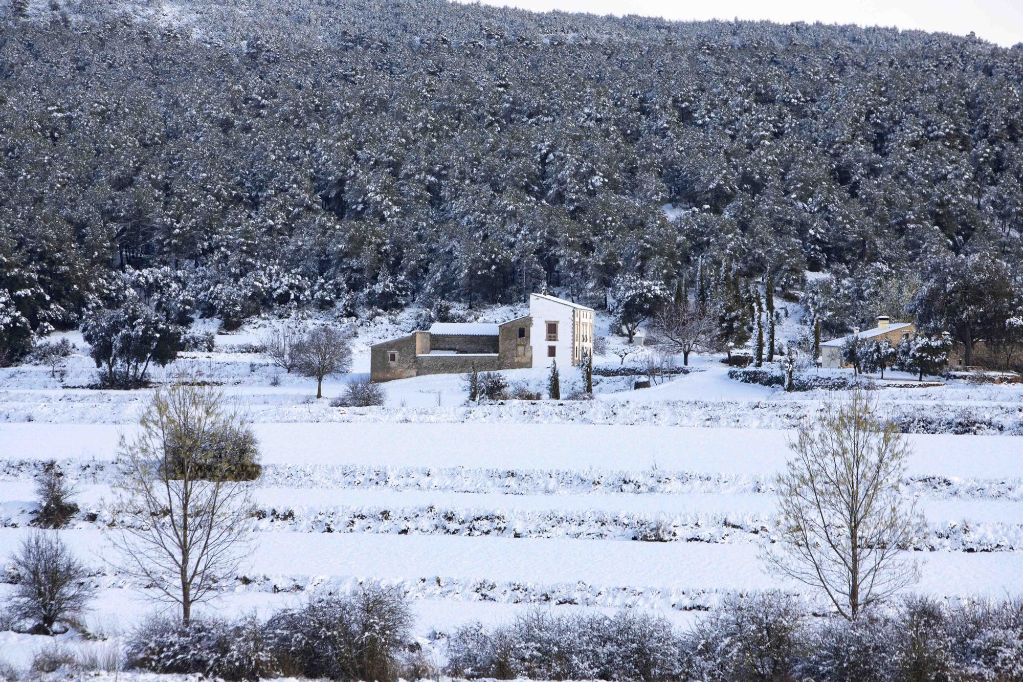 Espectacular nevada en la víspera de Sant Josep en Bocairent
