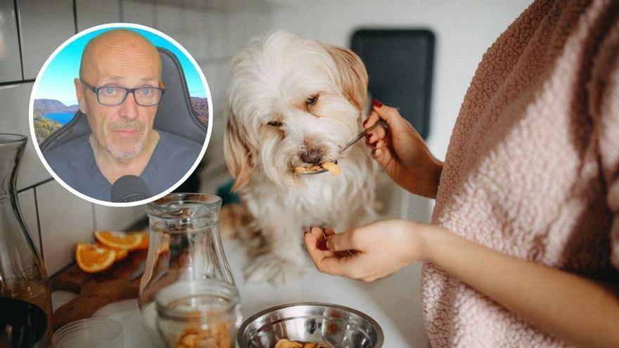 El veterinario Manuel Manzano alerta del error más común al dar comida humana a los perros: 