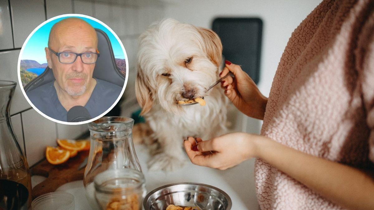 El veterinario Manuel Manzano aclara qué comida humana puedes darle a tu perro sin poner en riesgo su salud