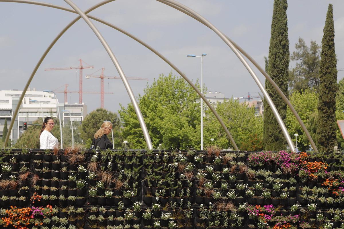 Imagen del paso subterráneo de la avenida Carlos III con el jardín vertical.