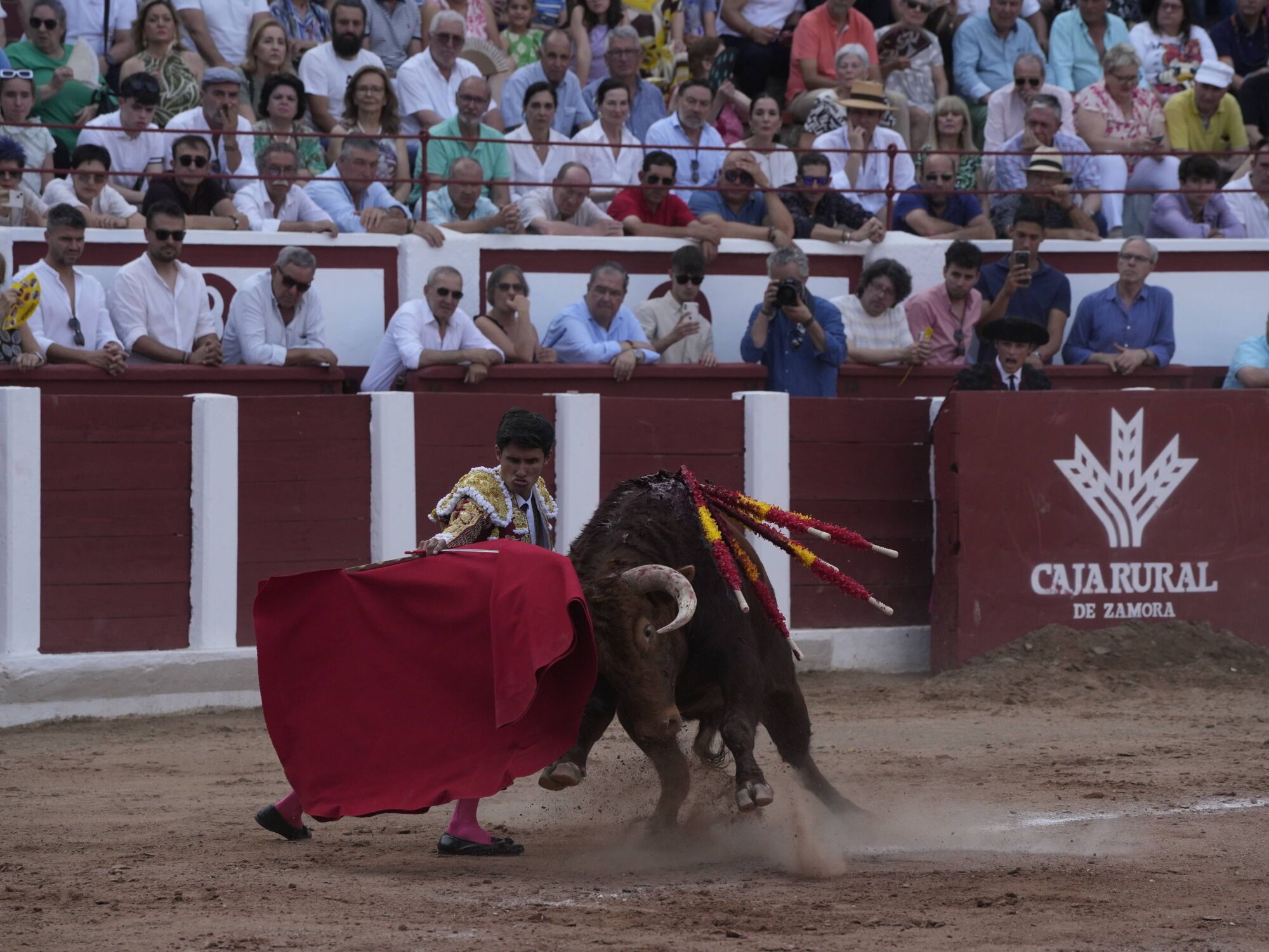 Las mejores imágenes de la feria taurina de San Pedro en Zamora.