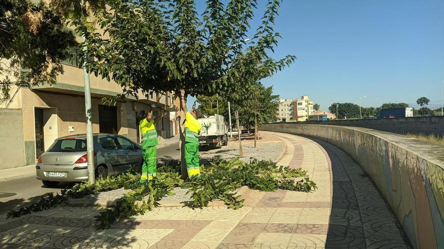 Burriana detecta deficiencias en el servicio de jardinería