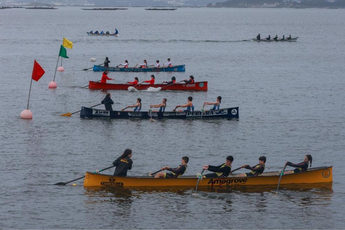 Las imágenes de las regatas de la I Bandera Conservas Orbe en Vilaxoán
