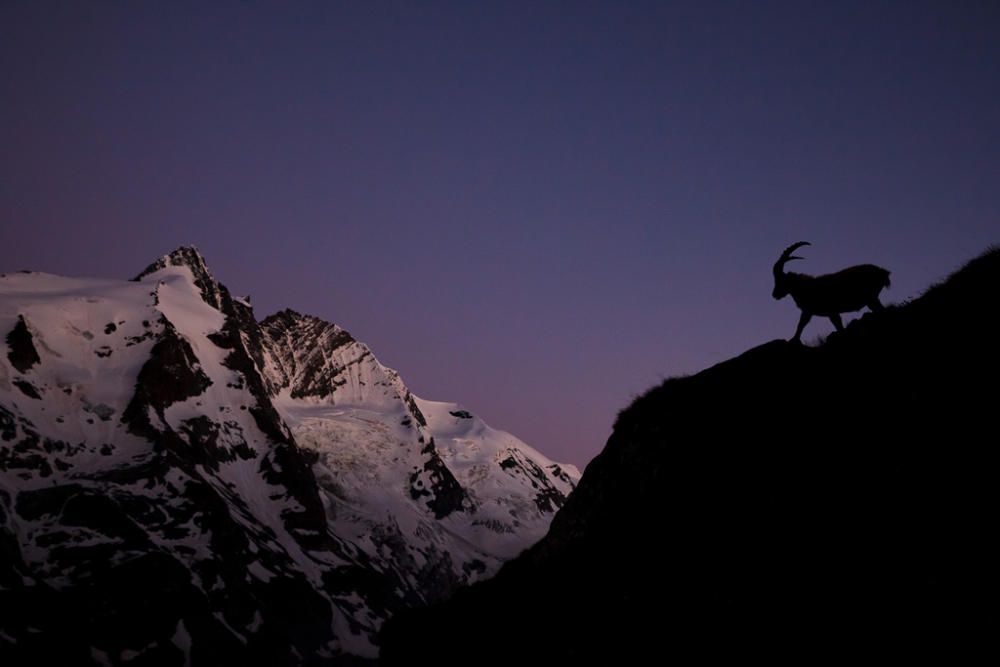 Parc Nacional High Tauern, Carintia (Àustria)