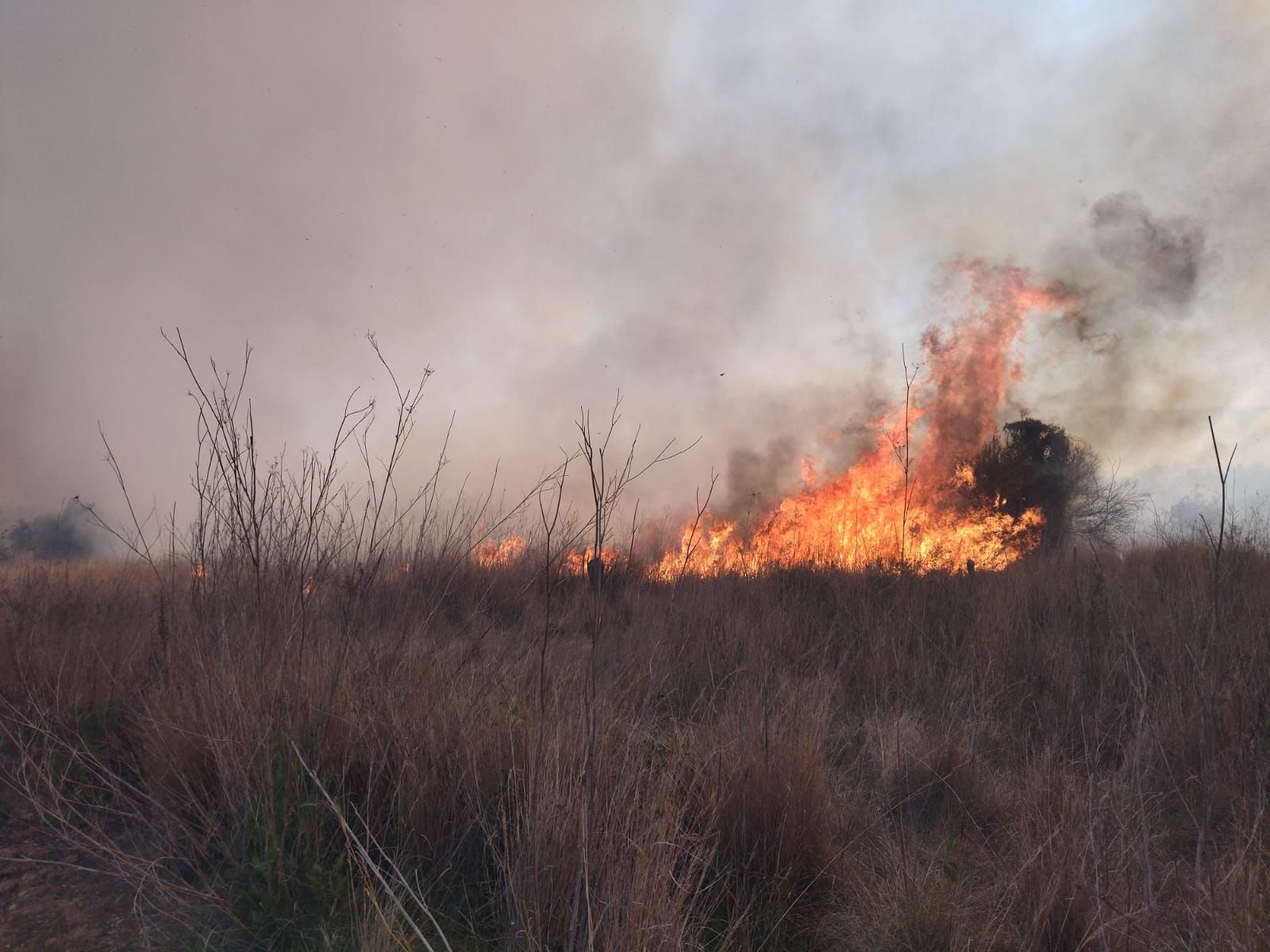 Declarado un incendio en el barranco de la Hiedra en Xàbia, cerca del Montgó