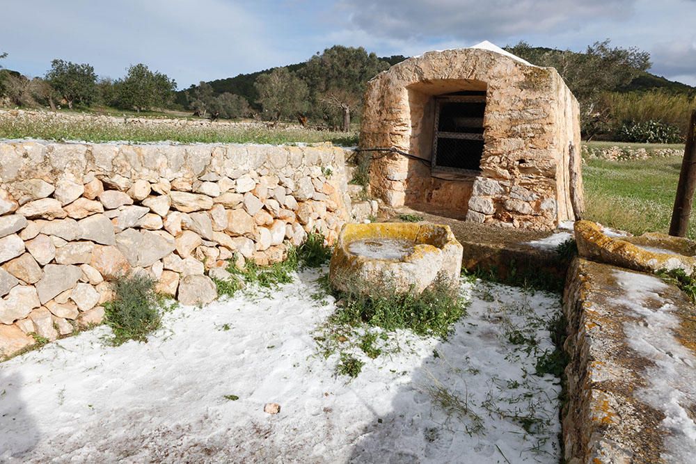 El Pla de Corona en Ibiza amanece con una capa blanca de granizo
