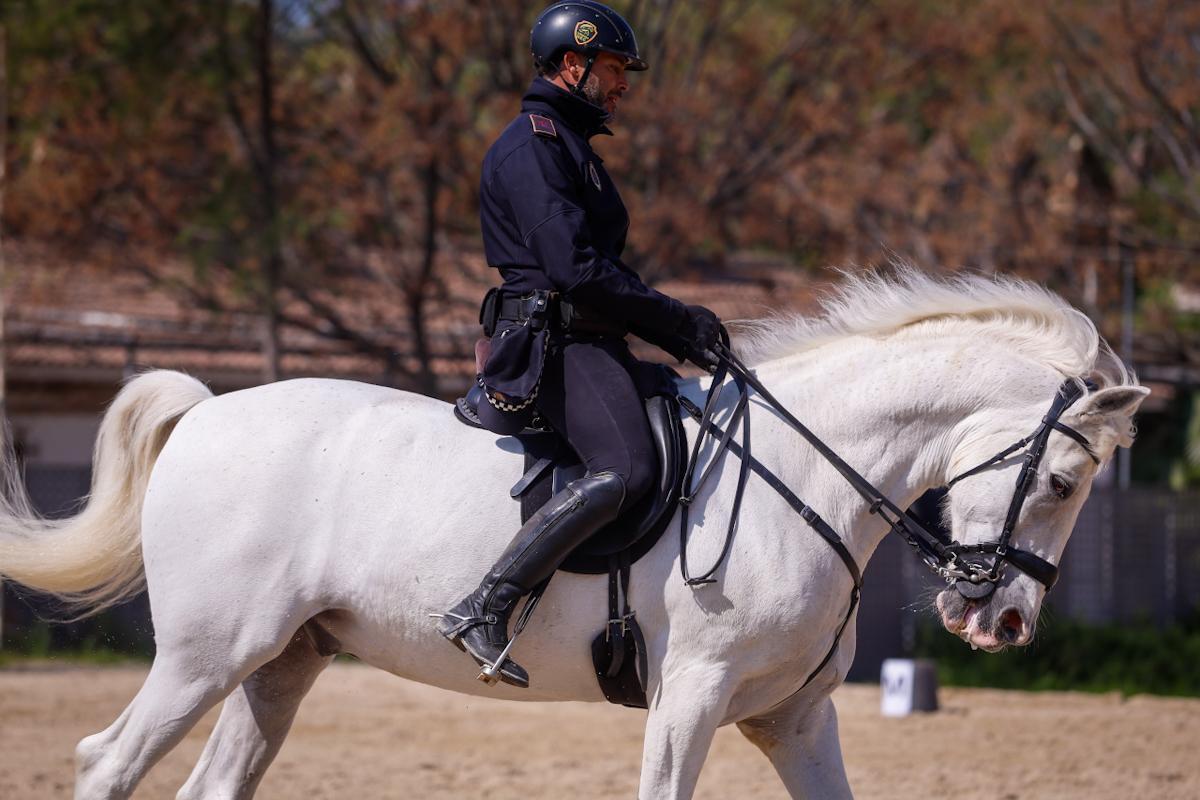 La unidad de caballería de la Policía Local de Córdoba cumple 150 años La unidad de caballería de la Policía Local de Córdoba cumple 150 años