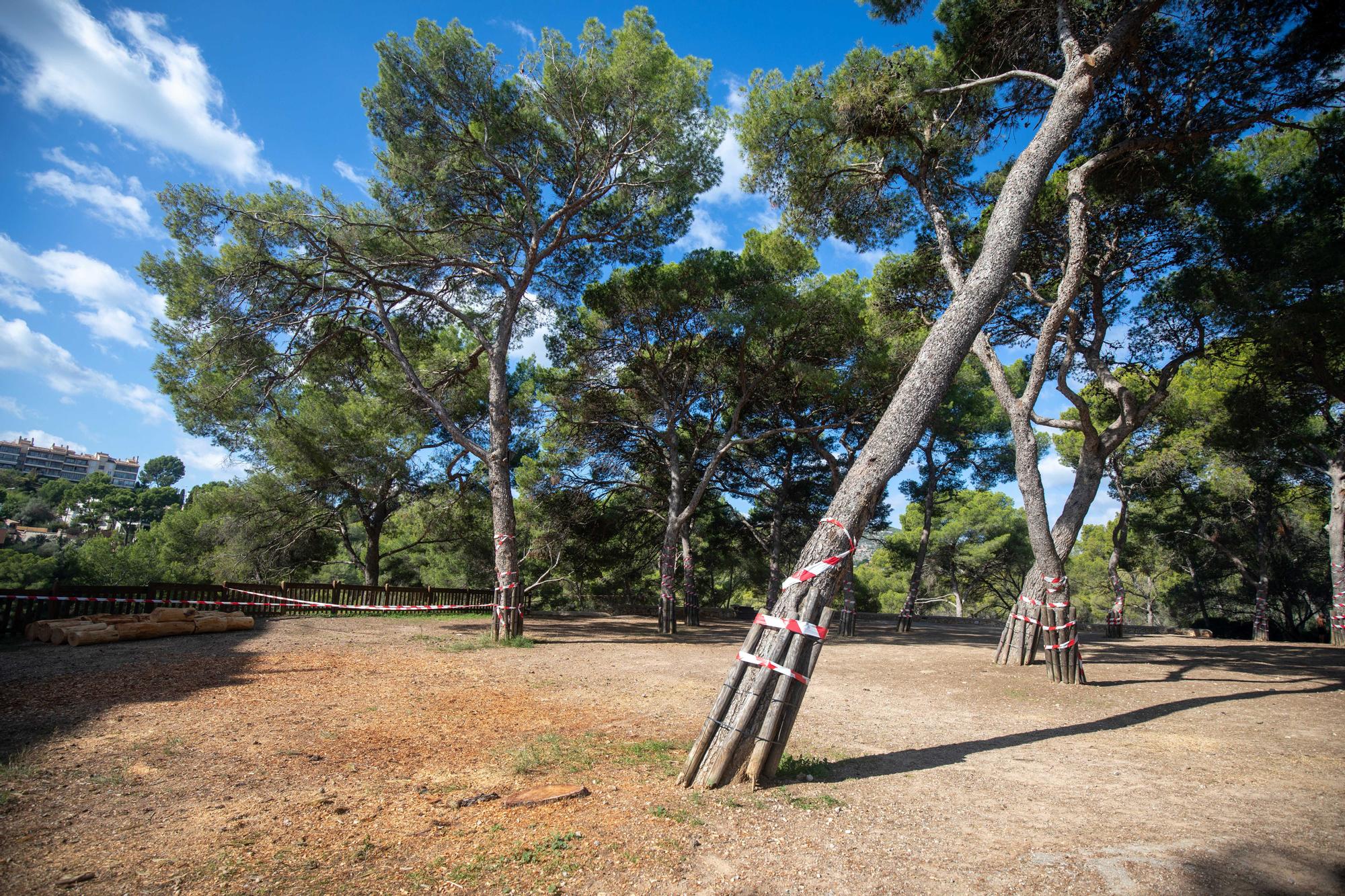 Palmario | Exigen parar el parque de ocio de Bellver