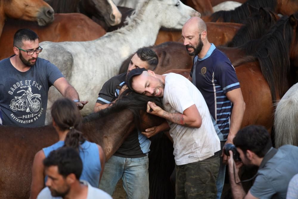 Sabucedo exhibe bravura en su Rapa das Bestas