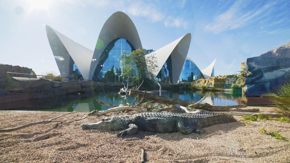 El Oceanogràfic acerca los secretos del océano al centro de València.