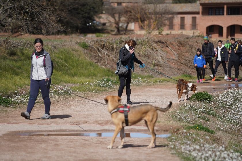 Transéquia 2024: Busca't a les fotos