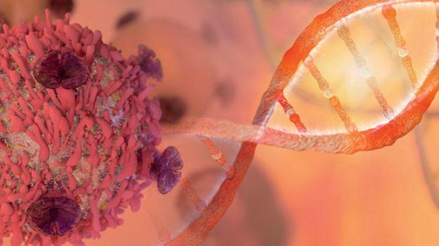 La immunoteràpia, el futur contra el càncer.