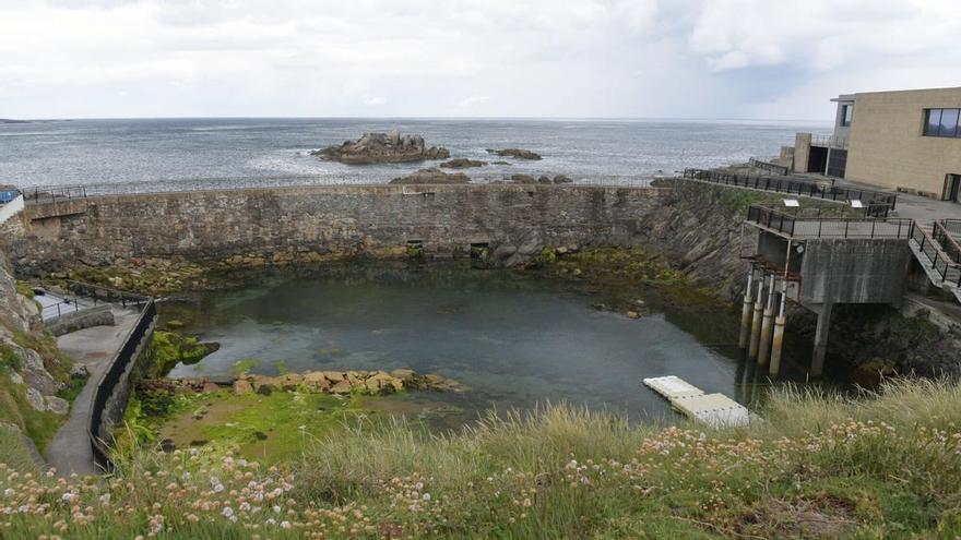 El hogar de las focas del Aquarium Finisterrae de A Coruña, en peligro de ser "inviable" por las filtraciones: el Concello reparará el muro