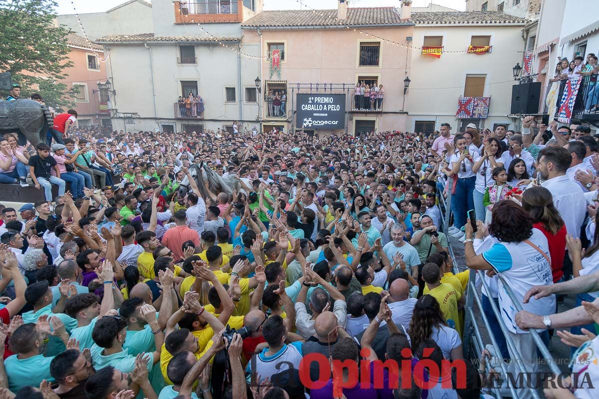 Entrega de premios del concurso morfológico de los Caballos del Vino de Caravaca